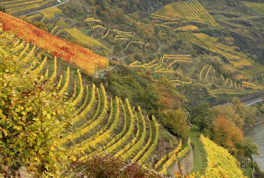 Gutsschaenke Sennerhof Ξενοδοχείο Oberwesel Εξωτερικό φωτογραφία